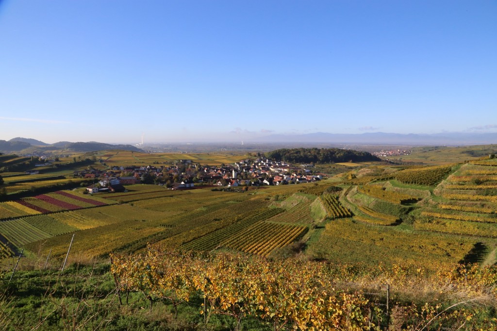 Bischoffingen 1  im Herbst 2013 von Patrick Johner